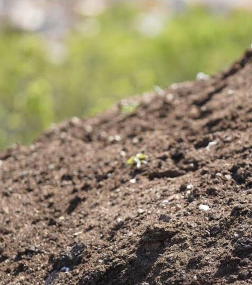 Elenmiş Keçi Koyun Gübresi Hayvan Gübresi Keçi Gübresi Koyun Gübresi 5kg