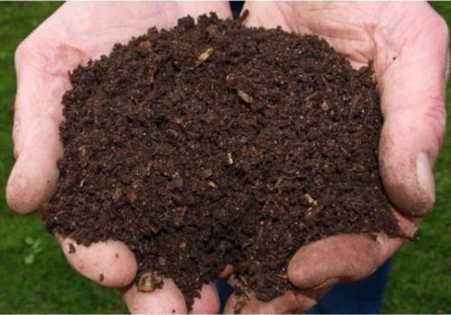 Koyun Gübresi 10 Lt Yanmış Elenmiş Koyun Gübresi Keçi Gübresi Doğal Gübre Hayvan Gübresi