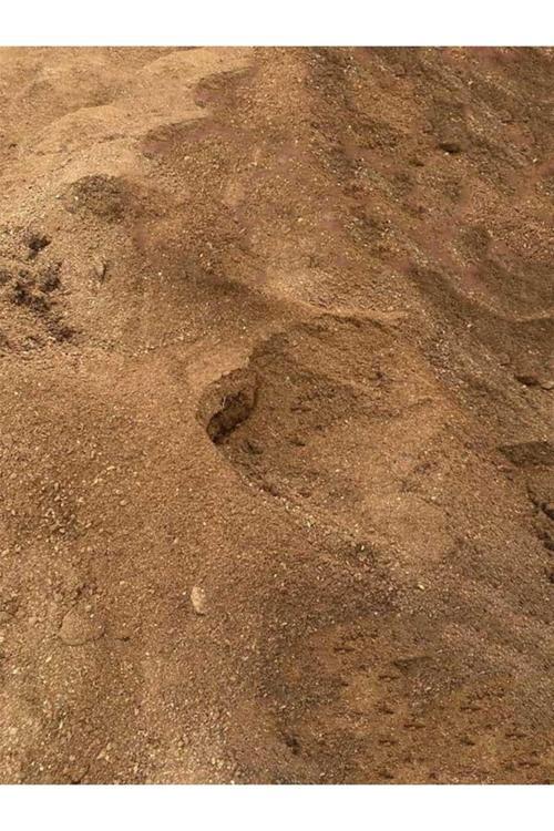 Yanmış Elenmiş Karışımsız Organik Keçi Gübresi 20 Kg