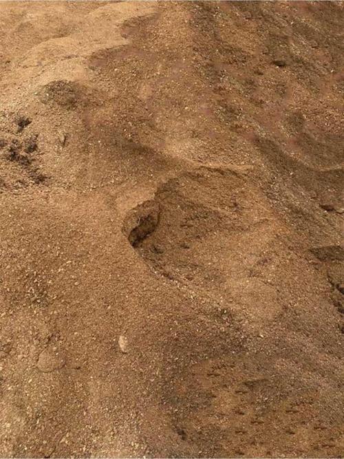 Yanmış Elenmiş Karışımsız Organik Keçi Gübresi 20 Kg