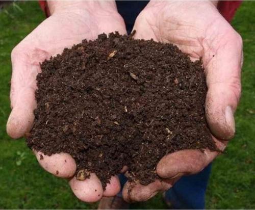 Koyun Gübresi 10 Kg Yanmış Elenmiş Koyun Gübresi Keçi Gübresi Doğal Gübre Cicek Toprağı