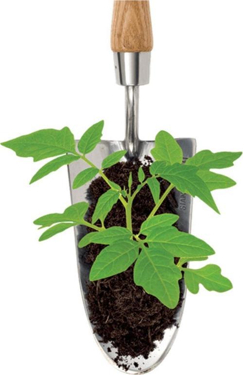 Koyun Gübresi %100 Organik 5 lt