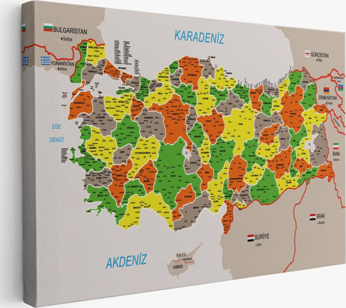 Türkiye Haritası Kanvas Tablo İl Ve İlçeli Ayrıntılı Eğitici Komşulu Tablo 2999