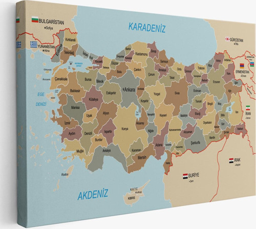 Türkiye Haritası Kanvas Tablo Sınır Komşulu Eğitici Dekoratif Tablo 3106