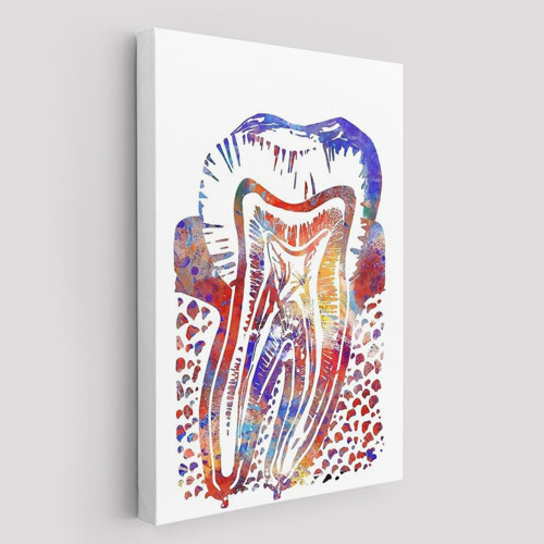 Suluboya Diş Anatomisi Tablosu-6020