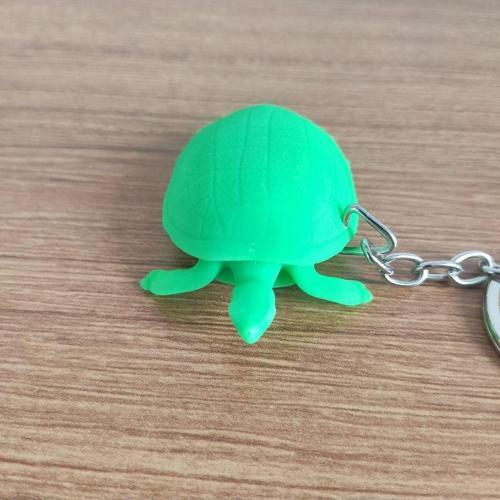 Caretta Caretta 12539