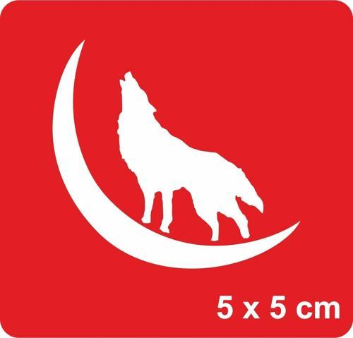 Gecenin İçinden Bozkurt Uluması Tattoo Geçici Dövme Şablonları Kına Kalıpları