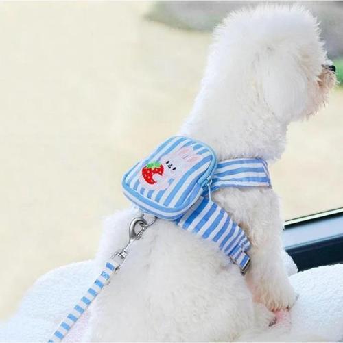 S Beden Çantalı Kedi Göğüs Tasma Seti Küçük Irk Köpek Gezdirme Kayışı Yürüyüş Tasması Kayış 120 cm