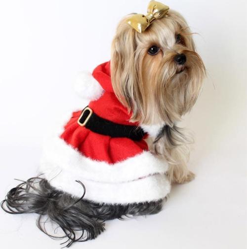 Noel Anne Elbisesi Mini Köpeklere Uygun Polar XLarge