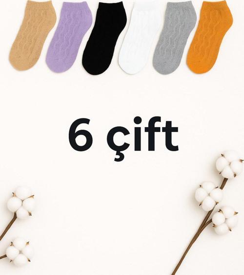 Kadın Pamuklu Patik Çorap 6'Lı Renkli Set