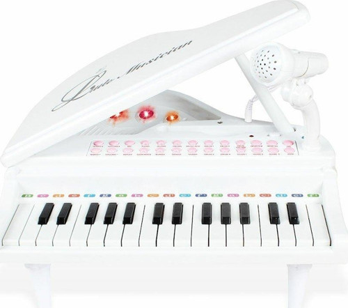 BAO-1504B 31 Tuşlu Mini Piano MP3 -Vardem