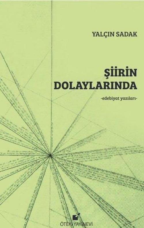 Şiirin Dolaylarında - Edebiyat Yazıları