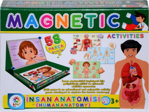 LC7171 Laço, Laço, Manyetik Aktiviteler - İnsan Anatomisi / +3 yaş