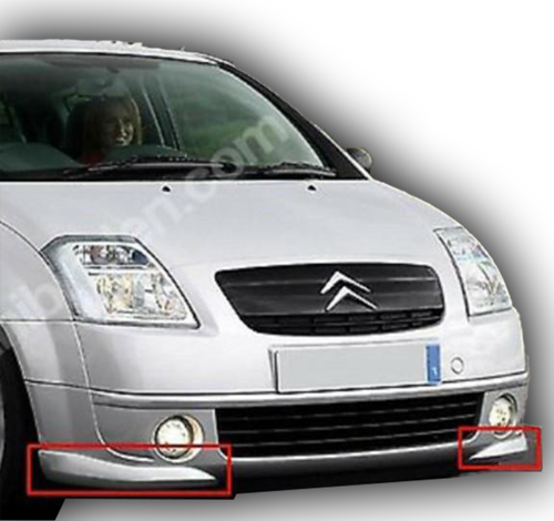 Citroen C2 Flap Boyasız