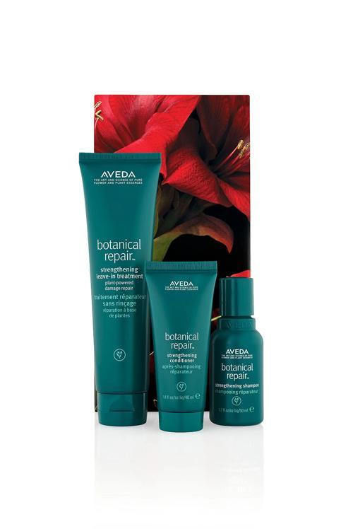 Botanical Repair Strengthening Hair Trio Set