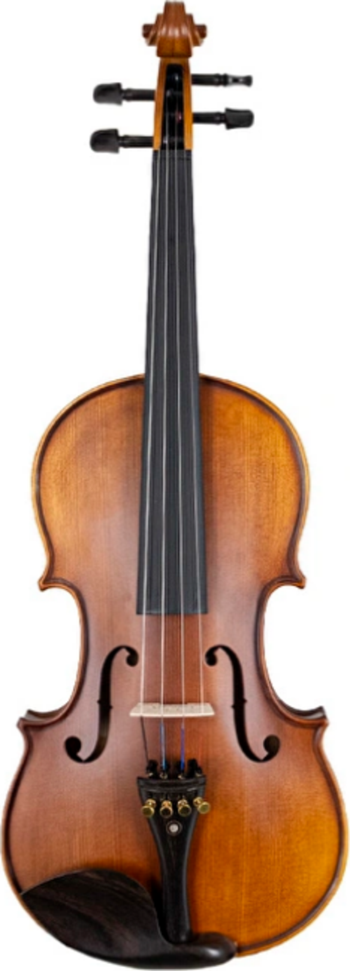 MODEL 100 4/4 Keman