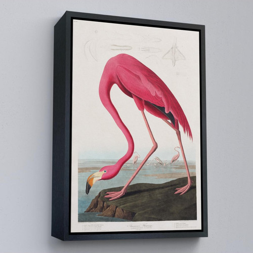 Çerçeveli John James Audubon - Amerikan Flamingo Tablosu-7301