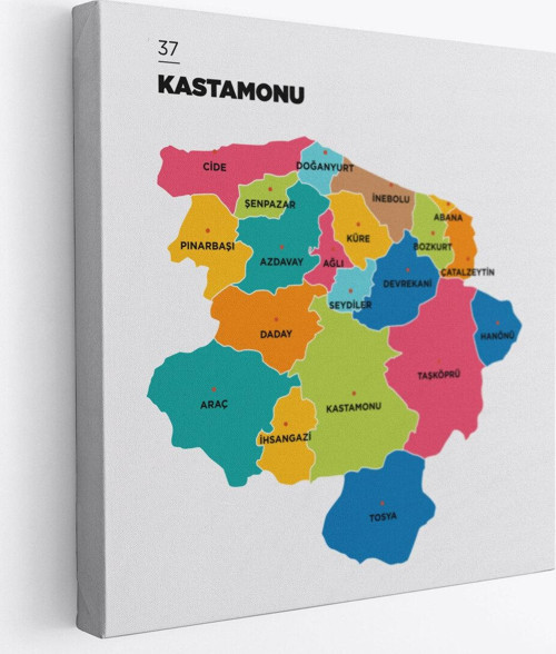 Kastamonu İli Ve İlçeler Haritası Dekoratif Kanvas Tablo 1382