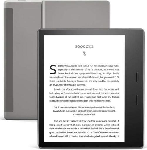 Oasis 32GB E-Kitap Okuyucu