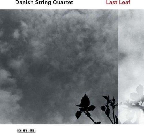 Danish String Quartet Last Leaf Plak