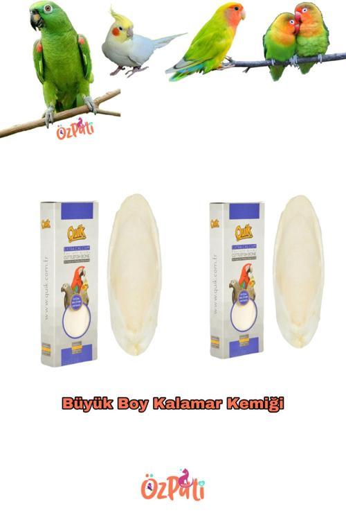 Mürekkep Balığı Kemiği ( Kalamar ) Büyük Boy 2 Adet
