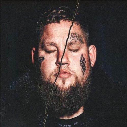 Rag'n'Bone Man Life By Misadventure Plak