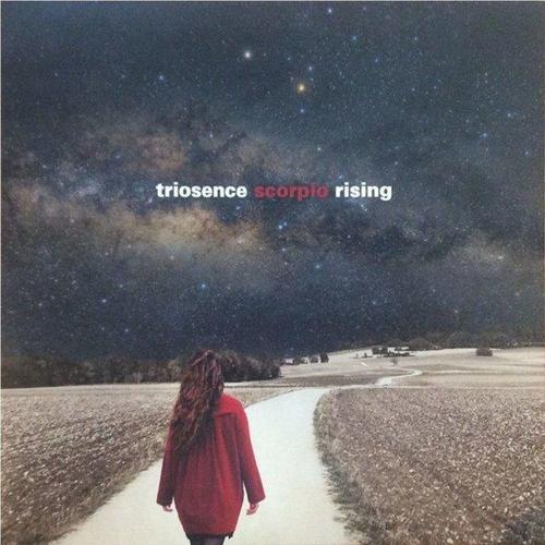 Triosence Scorpio Rising Plak