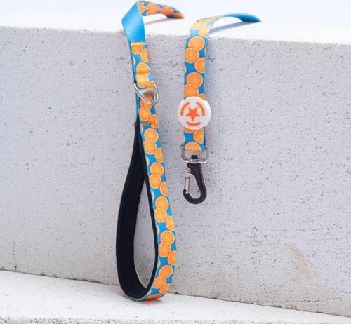 Citrus Köpek Gezdirme Kayışı 120 cm x 2 cm