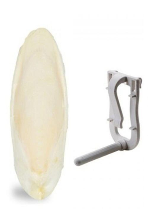 Petstore 11*12Cm Kalamar Kemiği Ve Tutacağı 1 Adet