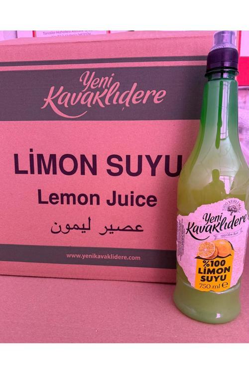 Limon Suyu %100