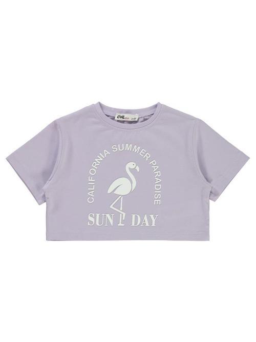 Flamingo Baskılı 2-5 Yaş Tişört - Lila5-6 Yaş