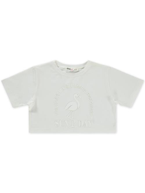 Flamingo Baskılı 2-5 Yaş Tişört - Ekru3-4 Yaş