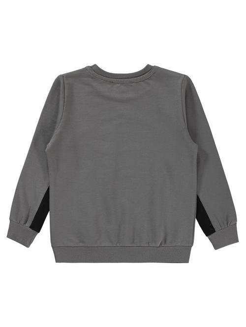Dinozor Baskılı 2-5 Yaş Sweatshirt - Gri4-5 Yaş