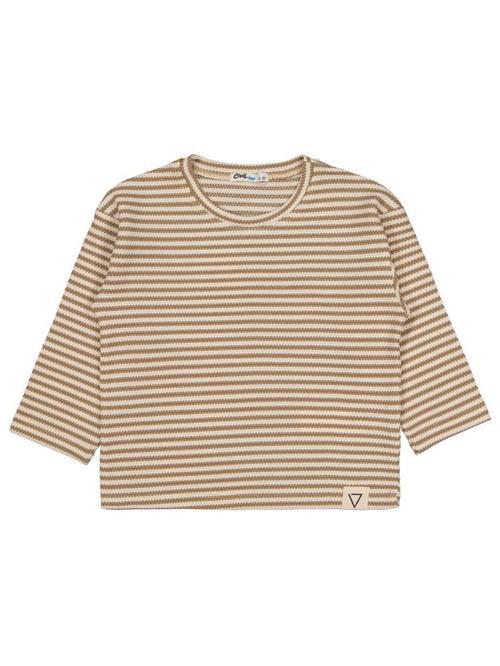 V23259 Civil Boys Petek Çizgili 2-5 Yaş Sweatshirt - Kahverengi2-3 Yaş
