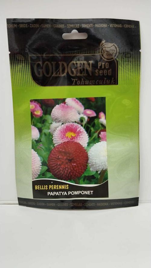 Papatya Pomponet Tohumu