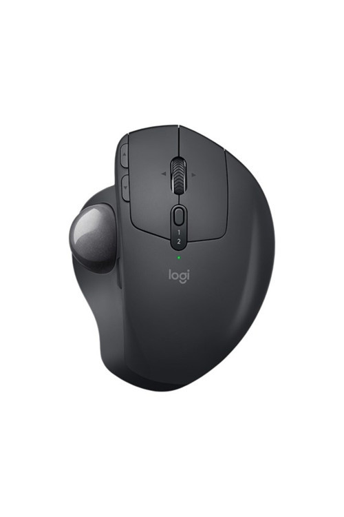 Mx Ergo Mouse Graphite 910-005179