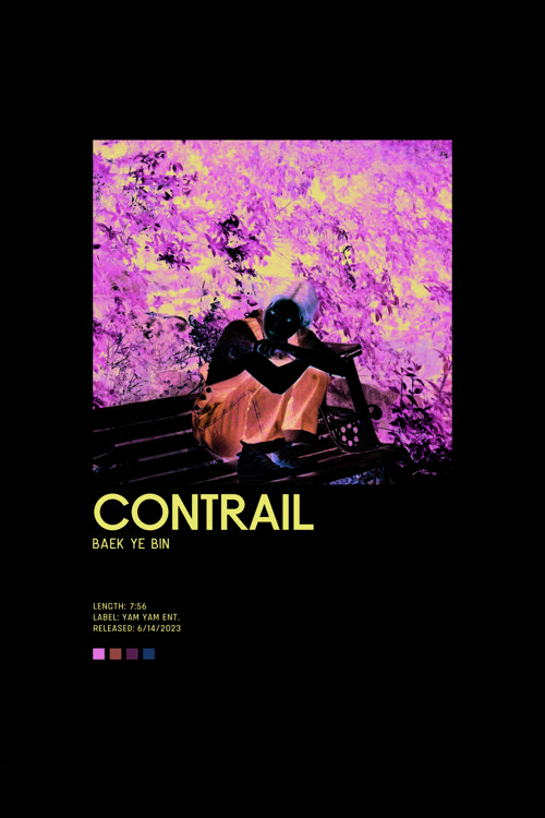 Baek Ye Bın Contrail K-Pop Duvar Posteri - Duvar Dekoru - Kalın Kağıt - Çerçevesiz