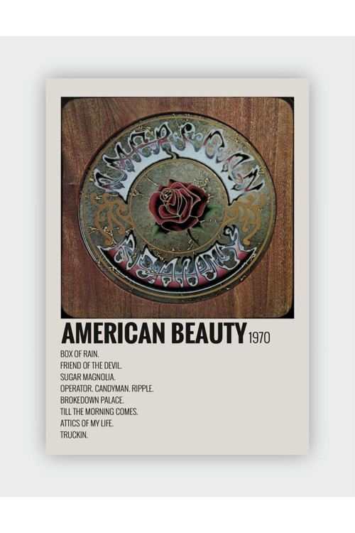 American Beauty Duvar Posteri - Duvar Dekoru - Kalın Kağıt - Çerçevesiz