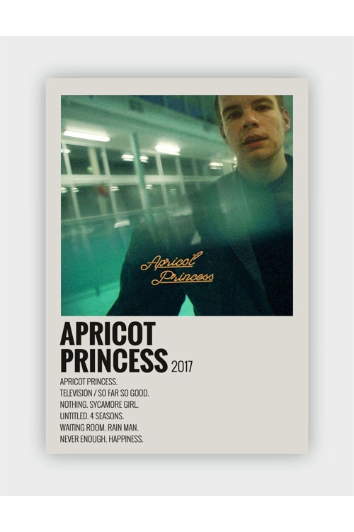 Apricot Princess Duvar Posteri - Duvar Dekoru - Kalın Kağıt - Çerçevesiz