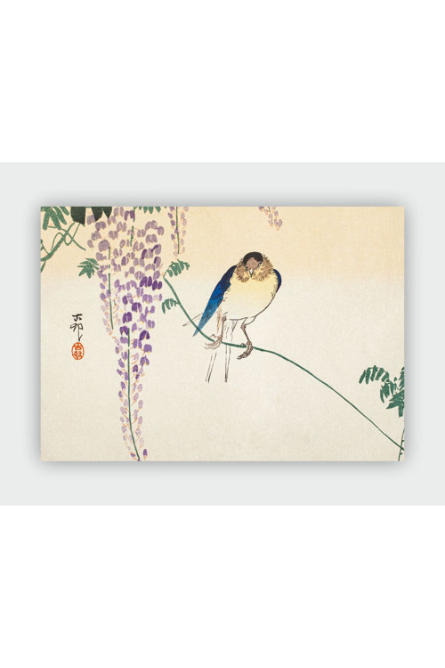 Barn Swallow And Wisteria Ohara Koson Duvar Posteri - Kalın Kağıt - Çerçevesiz
