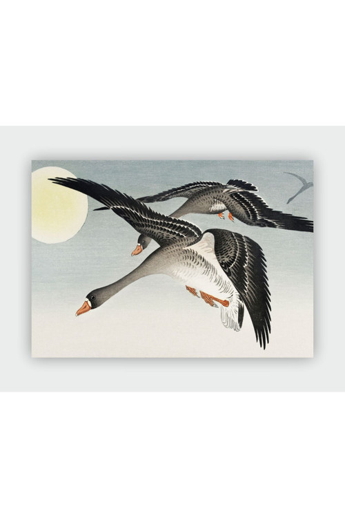 Birds And Moon Ohara Koson Duvar Posteri - Kalın Kağıt - Çerçevesiz