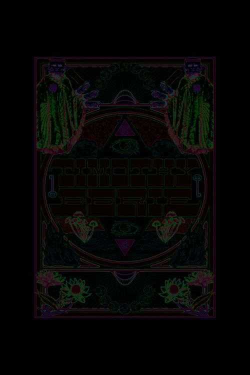 Aesthetic Hippie Duvar Posteri
