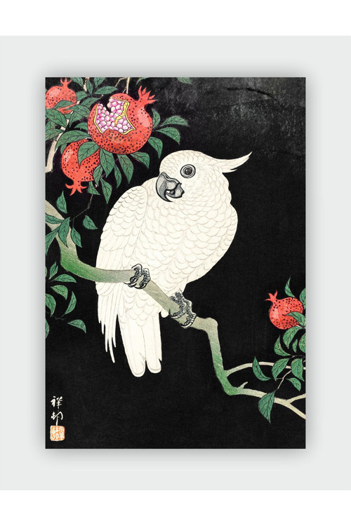 Cockatoo Ve Nar Ohara Koson Duvar Posteri - Kalın Kağıt - Çerçevesiz