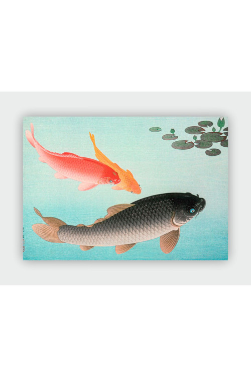 Common And Golden Carp, 1935 Ohara Koson Duvar Posteri - Kalın Kağıt - Çerçevesiz