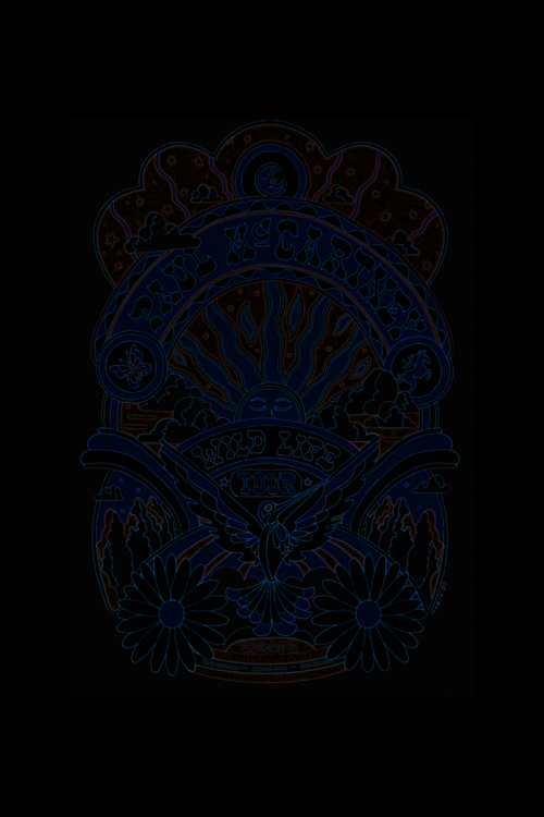 Aesthetic Hippie Duvar Posteri
