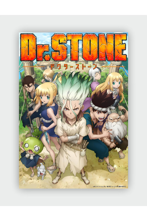 Dr. Stone Anime Hd Manga Duvar Posteri - Kalın Kağıt - Çerçevesiz