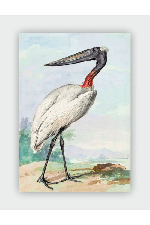 Jabiru, 1770 Expressionism Art Duvar Posteri - Kalın Kağıt - Çerçevesiz