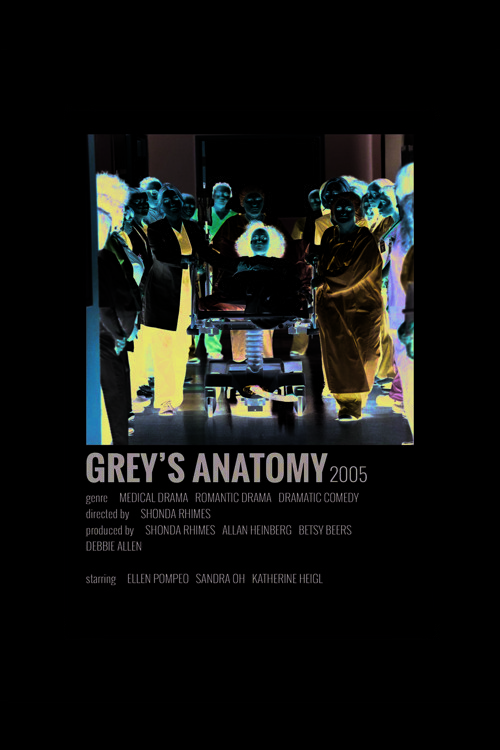 Grey'S Anatomy Film Info Card Bilgi Kartı Duvar Posteri
