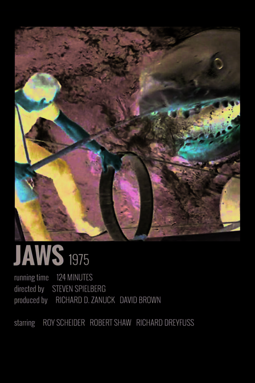 Javs Film Info Card Bilgi Kartı Duvar Posteri