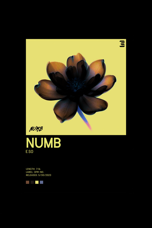 E.So Numb K-Pop Duvar Posteri - Duvar Dekoru - Kalın Kağıt - Çerçevesiz